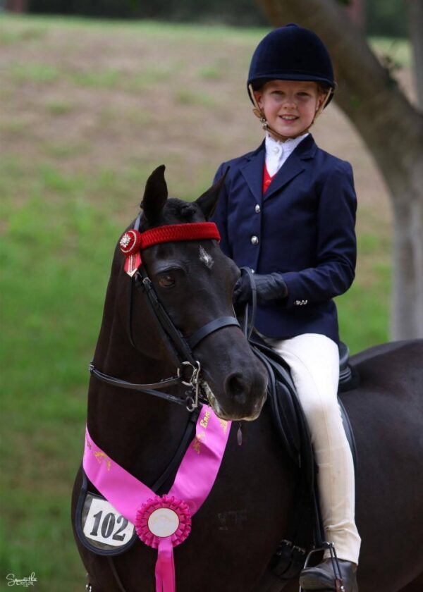 Childs Navy Classic/Silver Buttons - Image 4