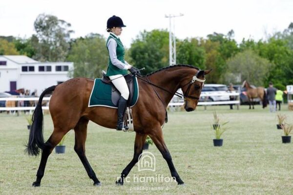 Customise your own HRCAV Riding Vest - Image 39