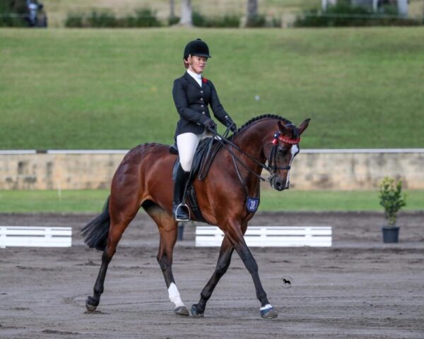 Classic Black Jacket - Image 5