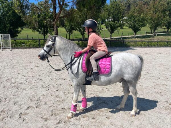 Childs Pink Mesh Gloves - Image 5